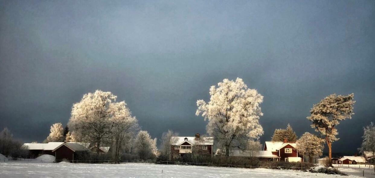 Villa Det Gamla Panget à Tällberg Extérieur photo